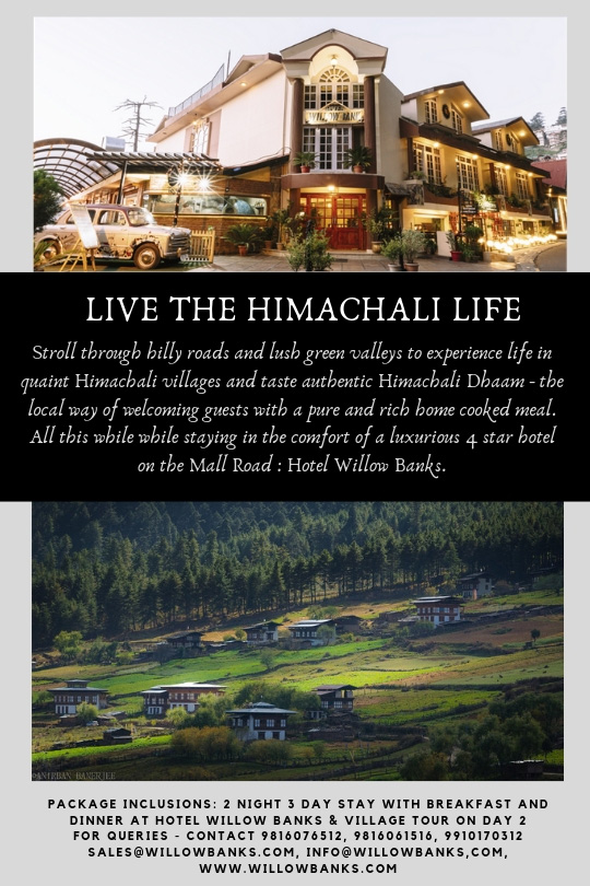 Group activities in Shimla